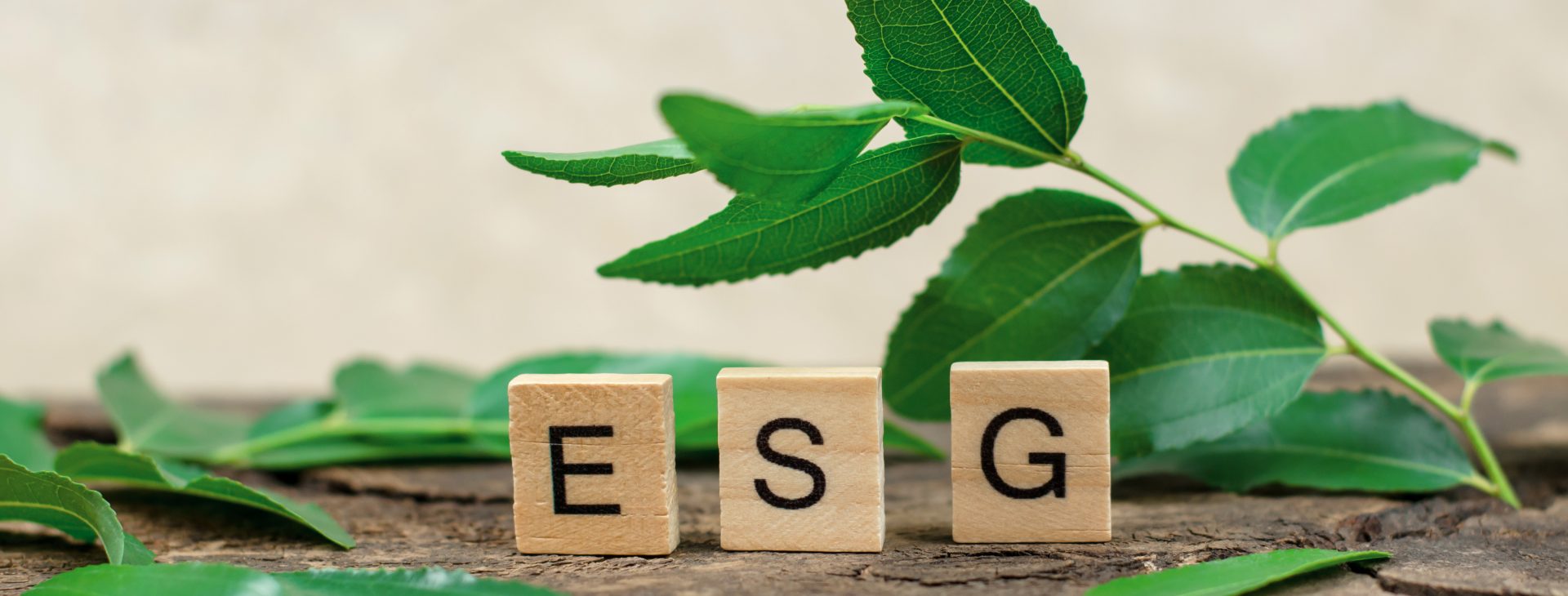 ESG / Zertifikate