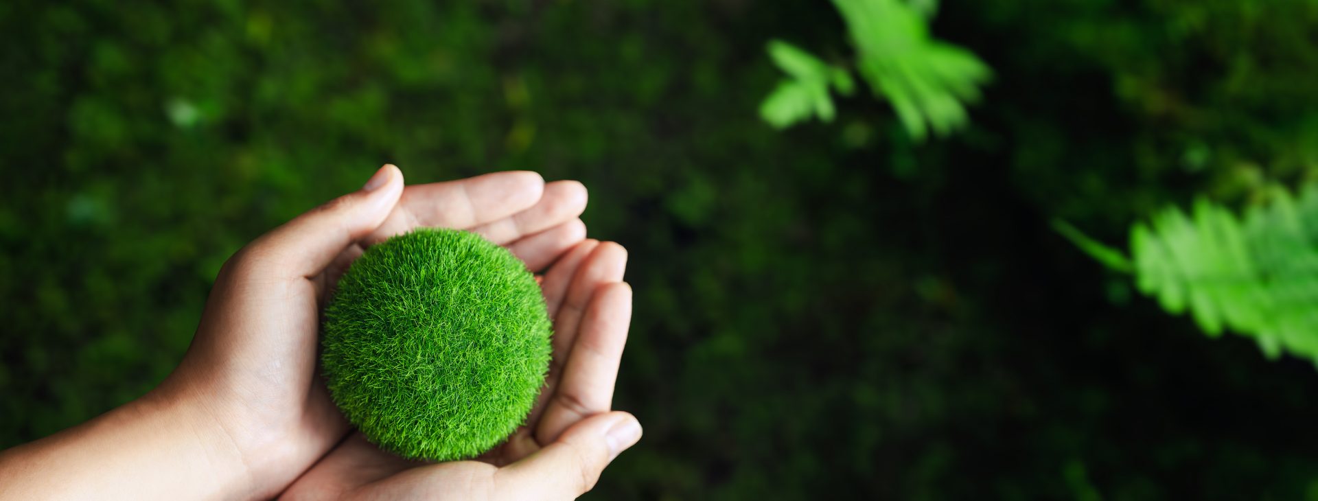 der GreenCityGroup GmbH &
der Concept + Modul GmbH